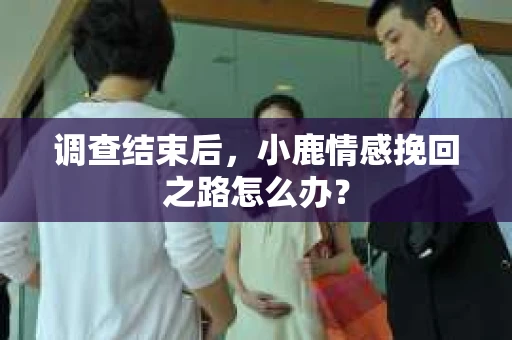 调查结束后，小鹿情感挽回之路怎么办？