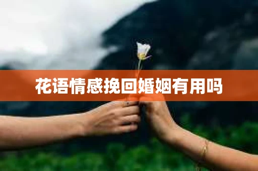 花语情感挽回婚姻有用吗