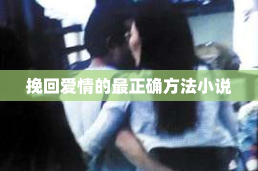 挽回爱情的最正确方法小说