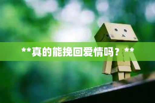 **真的能挽回爱情吗？**