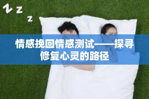 情感挽回情感测试——探寻修复心灵的路径