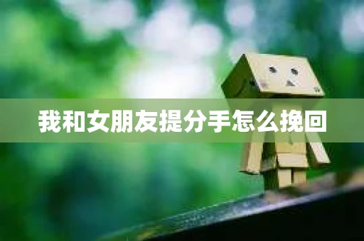 我和女朋友提分手怎么挽回