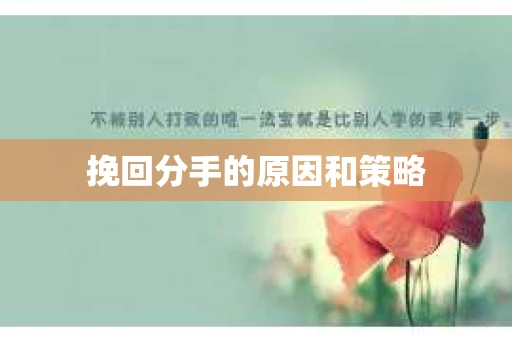 挽回分手的原因和策略