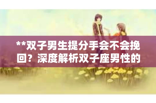 **双子男生提分手会不会挽回？深度解析双子座男性的情感决策**