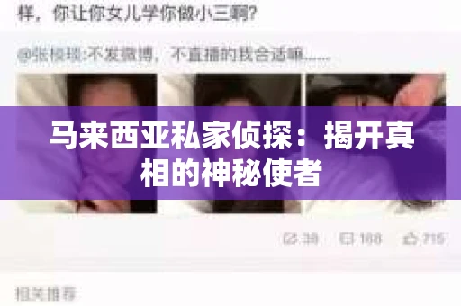 马来西亚私家侦探：揭开真相的神秘使者