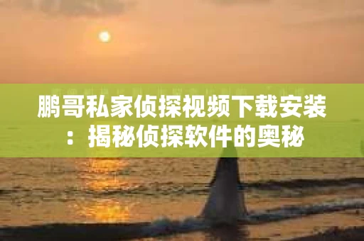 鹏哥私家侦探视频下载安装：揭秘侦探软件的奥秘