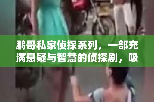 鹏哥私家侦探系列，一部充满悬疑与智慧的侦探剧，吸引了无数观众的眼球。今天，就让我带你走进这个充满神秘色彩的侦探世界，一起在线观看鹏哥私家侦探系列，感受那扣人心弦的故事情节。