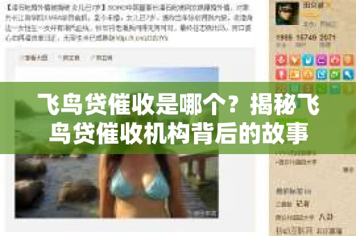 飞鸟贷催收是哪个？揭秘飞鸟贷催收机构背后的故事