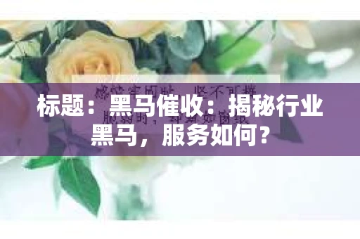 标题：黑马催收：揭秘行业黑马，服务如何？