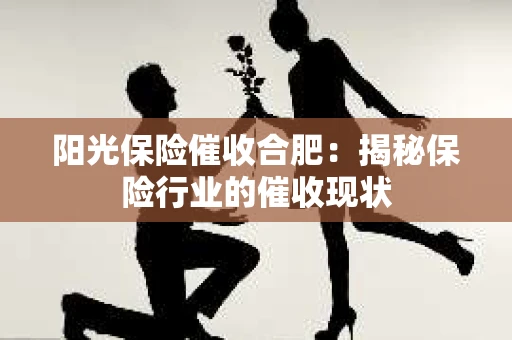 阳光保险催收合肥：揭秘保险行业的催收现状