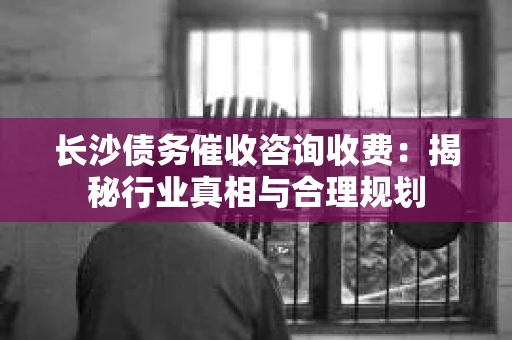 长沙债务催收咨询收费：揭秘行业真相与合理规划