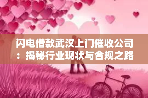 闪电借款武汉上门催收公司：揭秘行业现状与合规之路