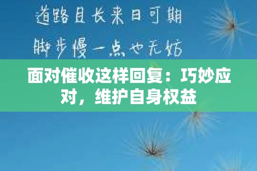 面对催收这样回复：巧妙应对，维护自身权益