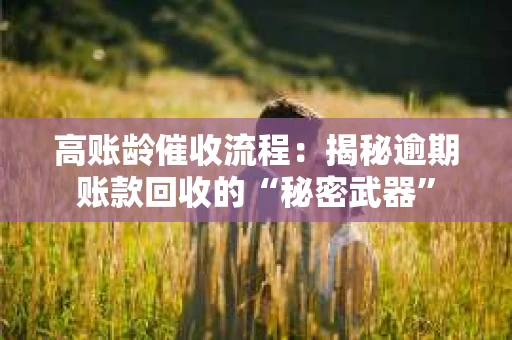 高账龄催收流程：揭秘逾期账款回收的“秘密武器”
