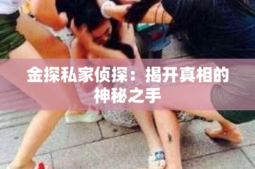 金探私家侦探：揭开真相的神秘之手
