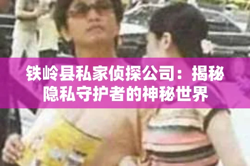 铁岭县私家侦探公司：揭秘隐私守护者的神秘世界