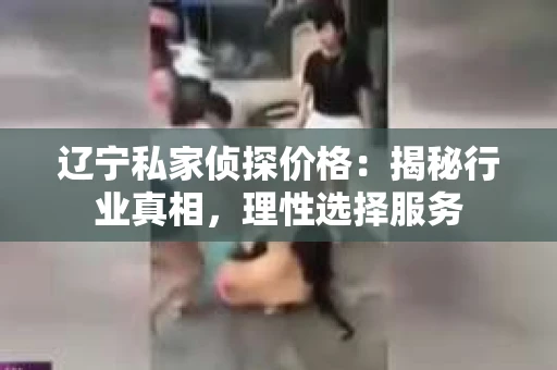 辽宁私家侦探价格：揭秘行业真相，理性选择服务
