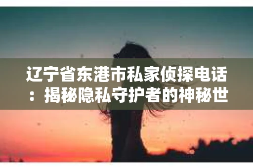 辽宁省东港市私家侦探电话：揭秘隐私守护者的神秘世界