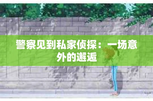 警察见到私家侦探：一场意外的邂逅