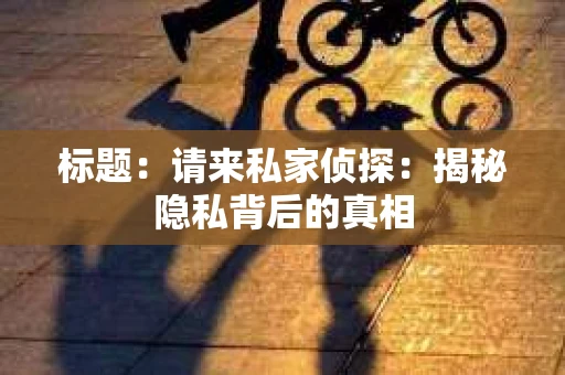 标题：请来私家侦探：揭秘隐私背后的真相