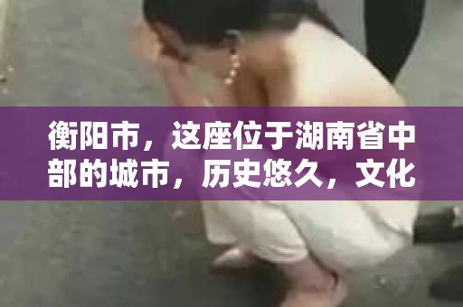 衡阳市，这座位于湖南省中部的城市，历史悠久，文化底蕴深厚。随着社会的发展，人们对于个人隐私的保护意识逐渐增强，私家侦探机构也应运而生。那么，衡阳市是否有私家侦探机构呢？今天，我们就来聊聊这个话题。