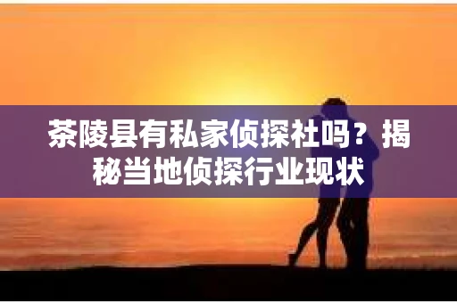茶陵县有私家侦探社吗？揭秘当地侦探行业现状