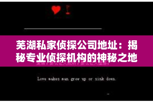 芜湖私家侦探公司地址：揭秘专业侦探机构的神秘之地