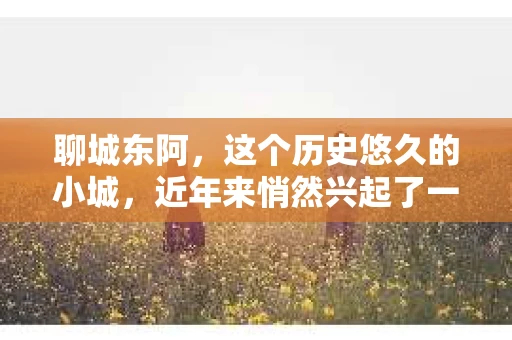 聊城东阿，这个历史悠久的小城，近年来悄然兴起了一股新的服务潮流——私家侦探。今天，我们就来聊聊这个话题，看看在聊城东阿，私家侦探是如何成为人们生活中的一部分的。