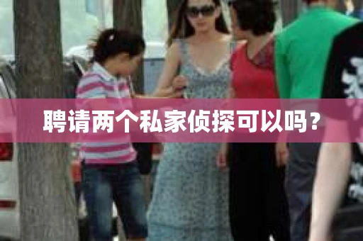 聘请两个私家侦探可以吗？