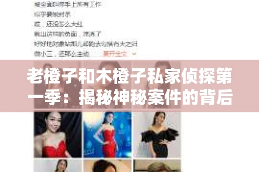 老橙子和木橙子私家侦探第一季:揭秘神秘案件的背后 老橙子和木橙子私家侦探第一季:揭秘神秘案件的背后