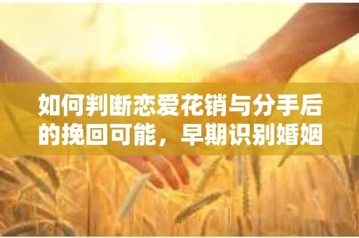 如何判断恋爱花销与分手后的挽回可能，早期识别婚姻危机的关键信号