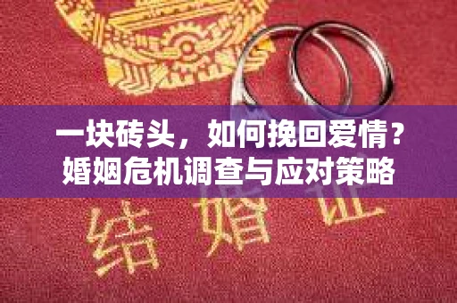 一块砖头，如何挽回爱情？婚姻危机调查与应对策略