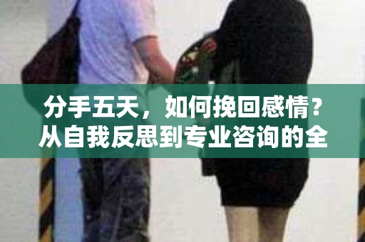 分手五天，如何挽回感情？从自我反思到专业咨询的全面解决方案