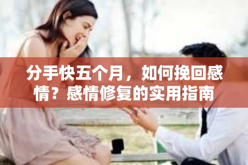 分手快五个月，如何挽回感情？感情修复的实用指南