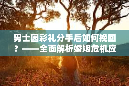 男士因彩礼分手后如何挽回？——全面解析婚姻危机应对策略