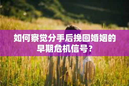 如何察觉分手后挽回婚姻的早期危机信号？