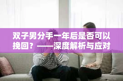 双子男分手一年后是否可以挽回？——深度解析与应对策略